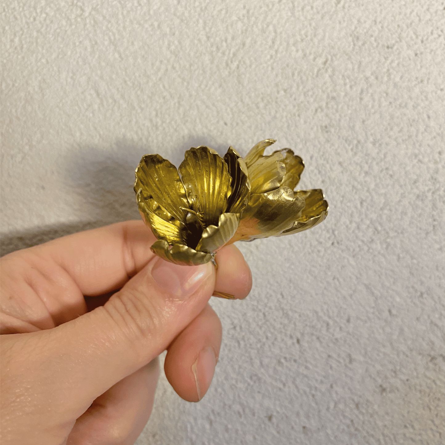 Krokus, örhängen