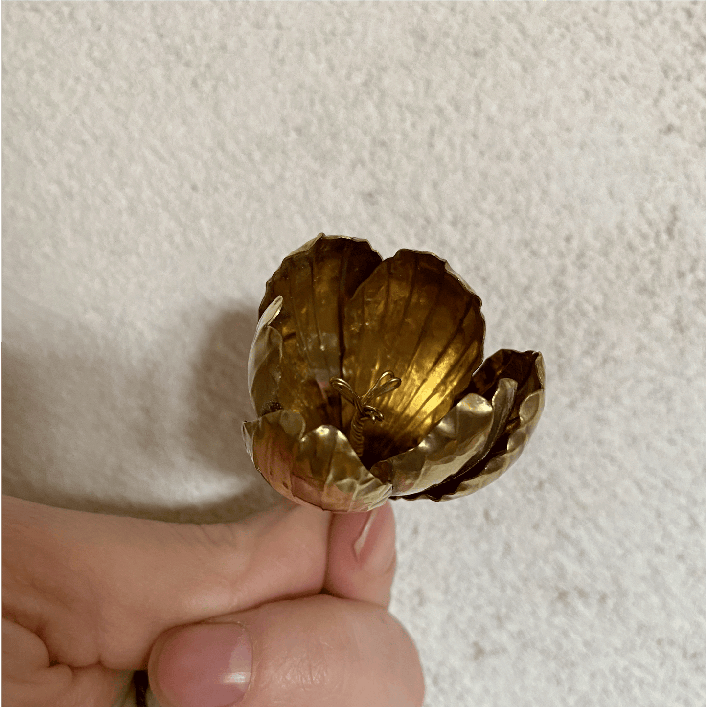 Krokus, ornament